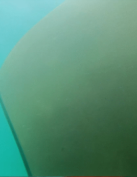 Propeller cutting Propeller cutting